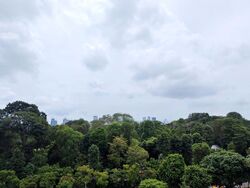 Cavenagh Court (D9), Apartment #458965071